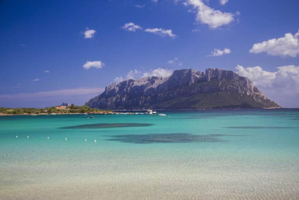 Villa And Pool Tavolara View Porto Istana Exterior foto